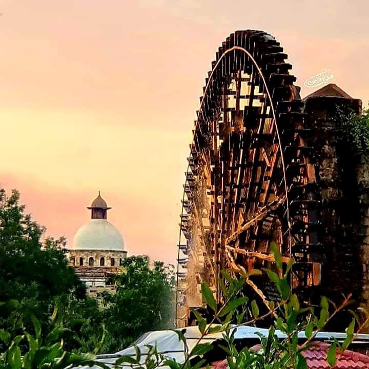 whatsapp image 2026 01 10 at 4.33.03 pm