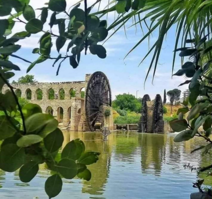 whatsapp image 2026 01 10 at 4.33.05 pm (2)