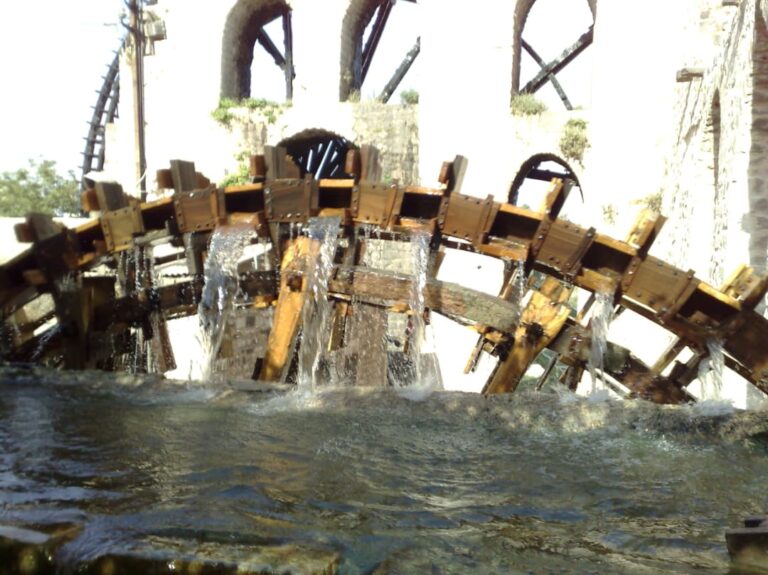 whatsapp image 2026 01 10 at 4.33.05 pm