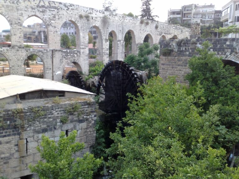 whatsapp image 2026 01 10 at 4.33.07 pm (1)